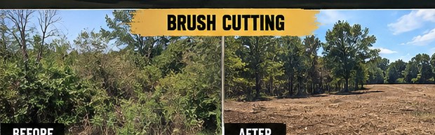 Illustration of brush cutting results
