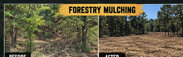 Illustration of forestry mulching results