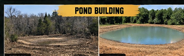 Illustration of a finished pond